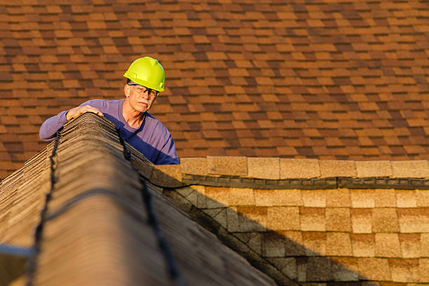 Best Storm Damage Roof Repair  in Sanborn, IA