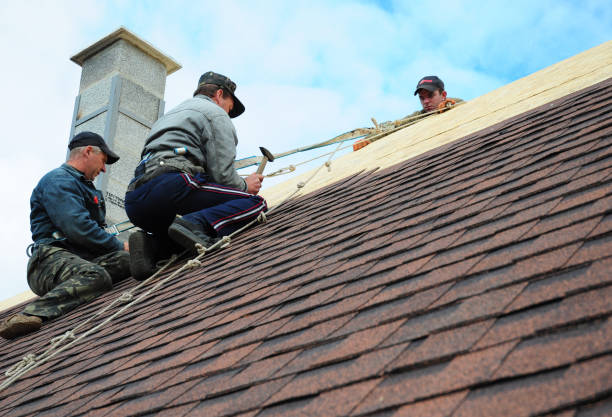 Best Roof Gutter Cleaning  in Sanborn, IA